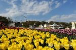В парке Everland
