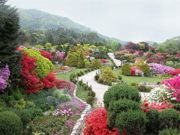 korea