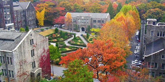 yonsei-university
