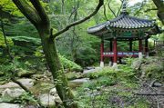 south-korea
