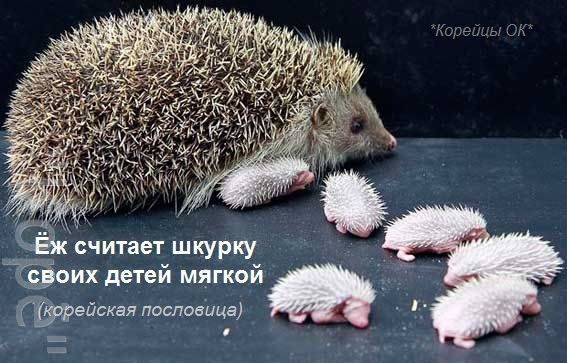 egik_2